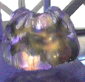 The natural form of the Caretaker