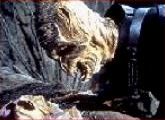 Repto Humanoid mother reclaims her baby - Uncredited