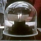 The crew of Enterprise-D dubbed this species microbrain - Silicon based intelligent life-form indigenous to planet Velara III.